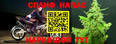 гидра Изобильный