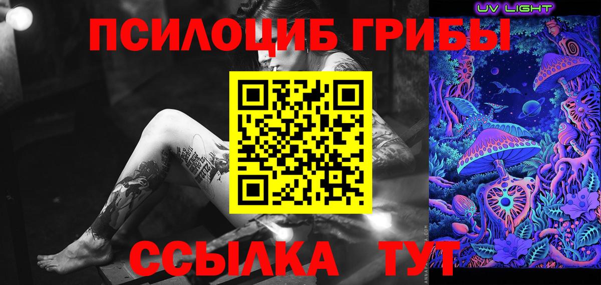 купить  цена  Псилоцибиновые грибы Psilocybine cubensis  Вход с VPN  Майкоп 